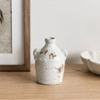 Small Cove Franco Ceramic Ears Vase styled on a wooden console beside a framed print and decorative bowl.