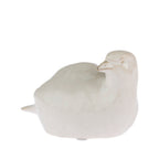 Cove Ceramic Bird Peeking Ornament in Natural, featuring a glossy ceramic bird with an upright head and rounded body.
