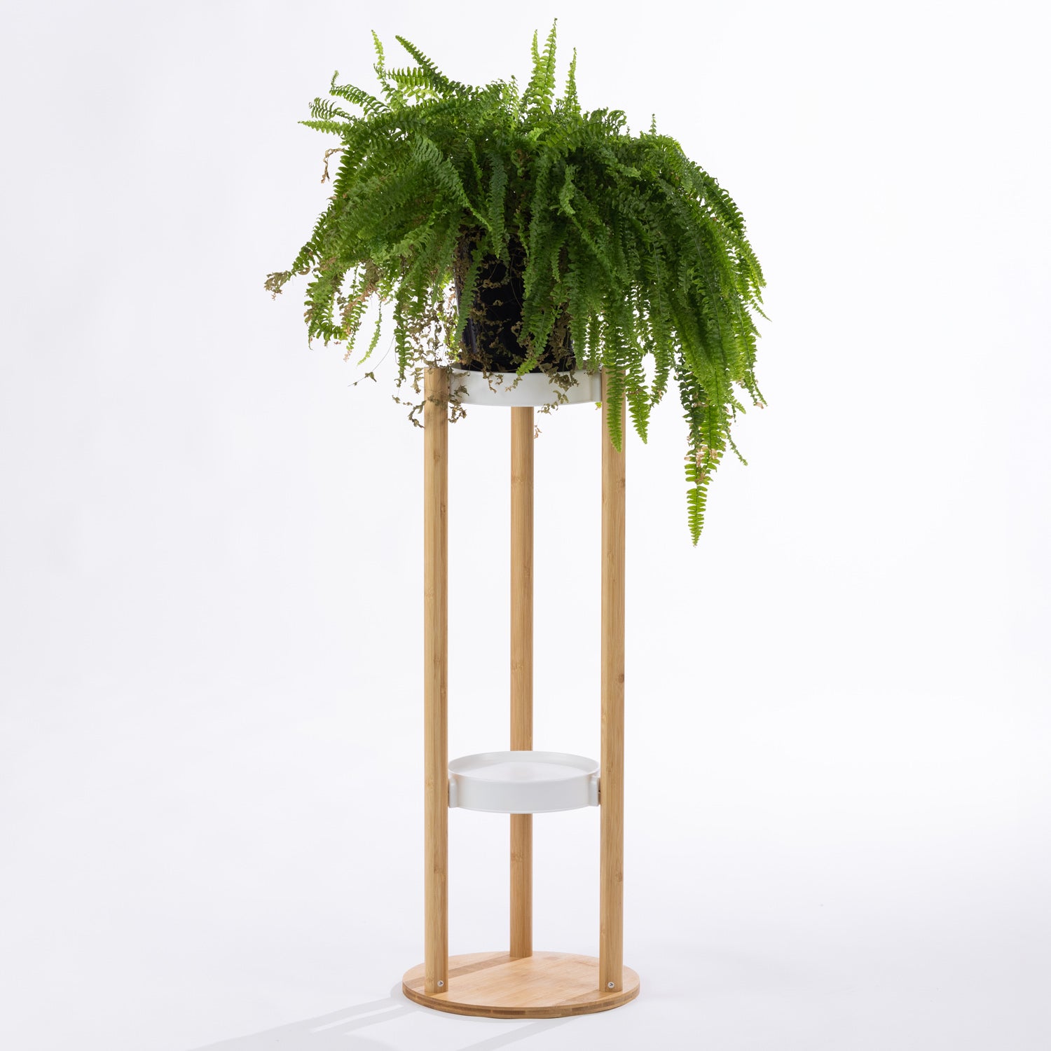 A tall white and natural bamboo planter stand displays a lush cascading fern, creating a striking vertical feature that brings fresh greenery and contemporary style to any interior.