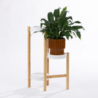 A modern white and natural bamboo planter stand showcases a lush indoor plant, creating a fresh, minimalist display that brings warmth and greenery to any space.