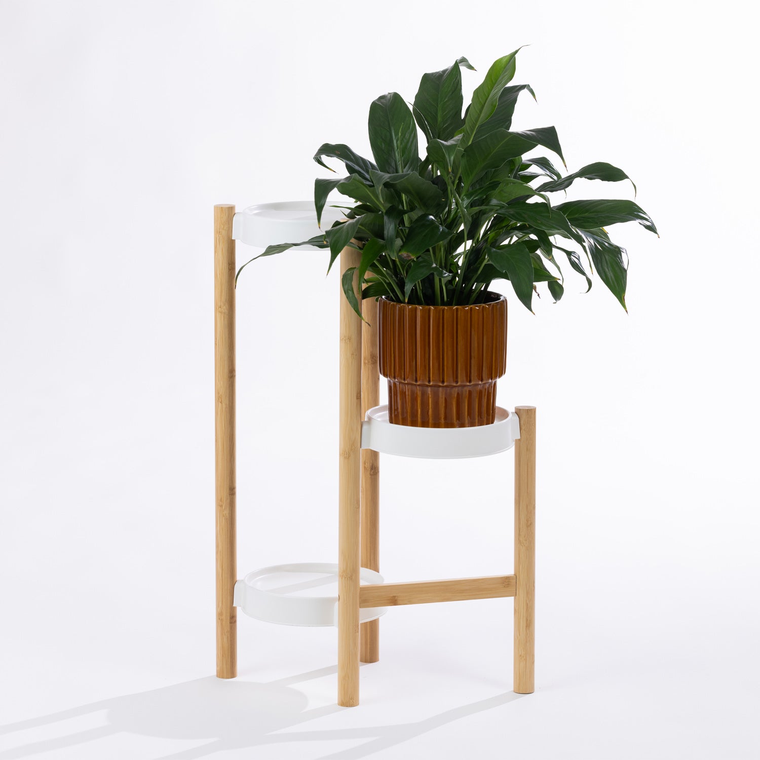 A modern white and natural bamboo planter stand showcases a lush indoor plant, creating a fresh, minimalist display that brings warmth and greenery to any space.