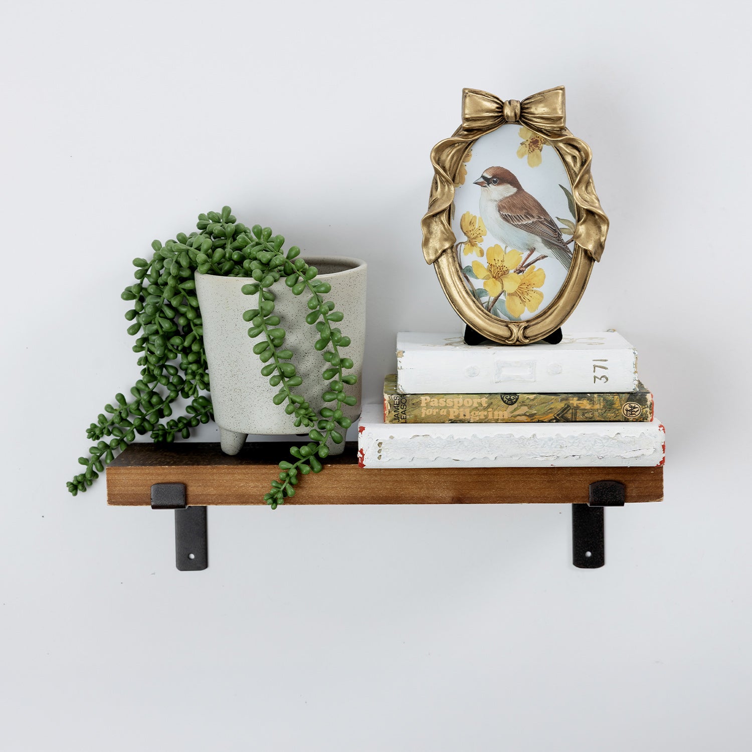 A rustic wooden floating shelf with black metal brackets, styled with a trailing green succulent in a white pot, a decorative gold bird frame, and stacked books against a plain white wall.