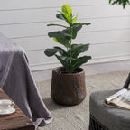 Outsidings Tay Cement Drum Planter
