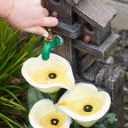 Outsidings Arum Lilies Water Feature