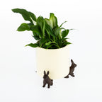 A leafy green houseplant sits in a smooth cream-colored planter elevated by three small rabbit-shaped supports against a plain light background.