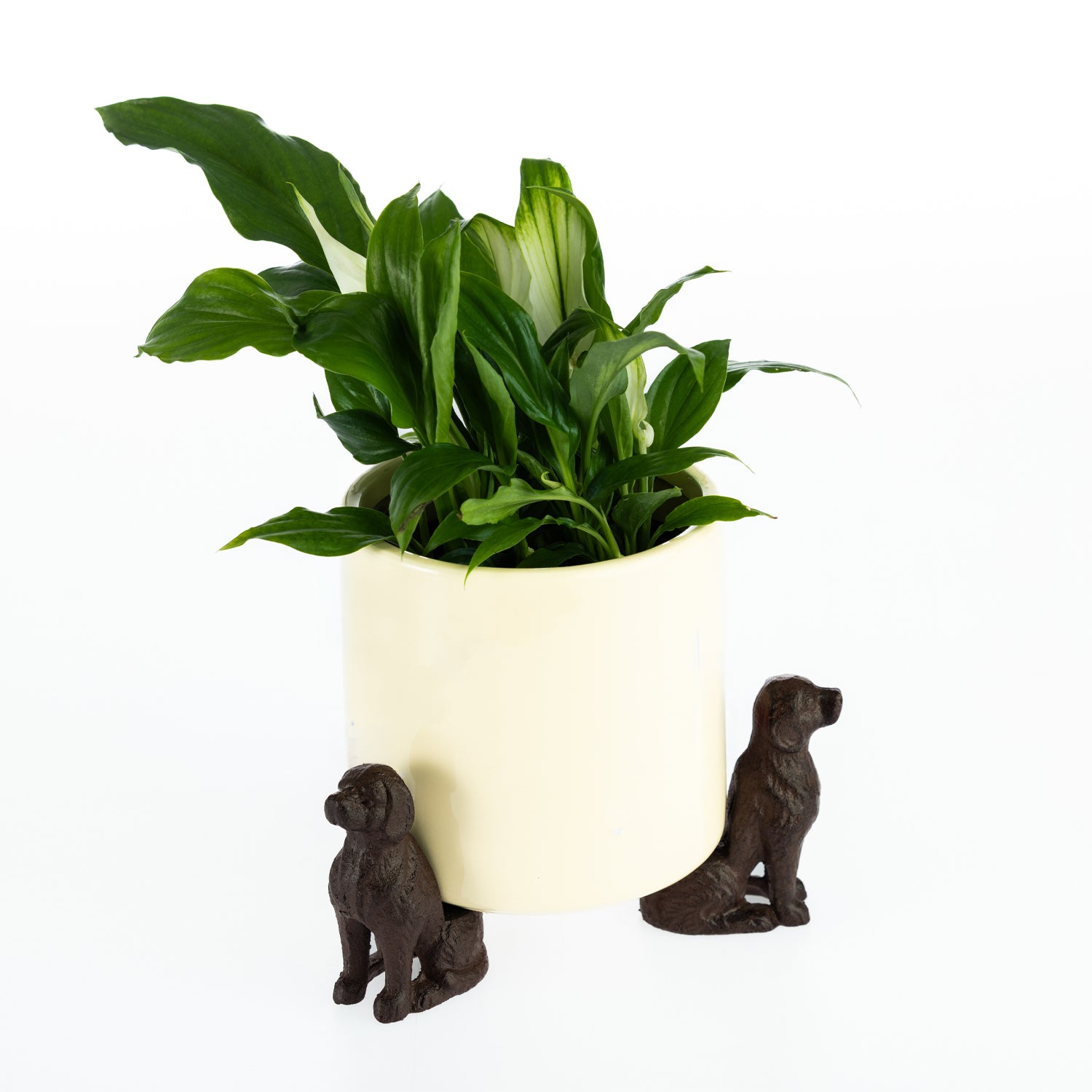 A leafy green houseplant sits in a smooth cream-colored planter elevated by three small brown dog-shaped supports against a plain light background.