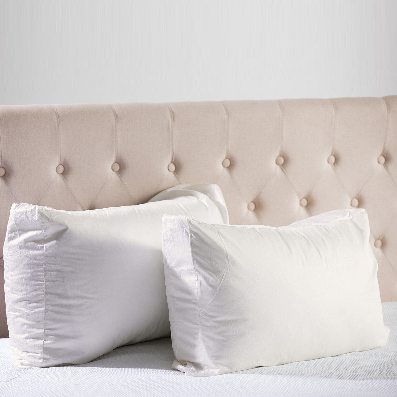 Cloud 9 300TC Gusseted Pillowcase Pair