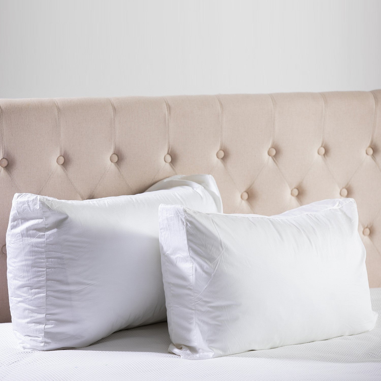 Cloud 9 300TC Gusseted Pillowcase Pair