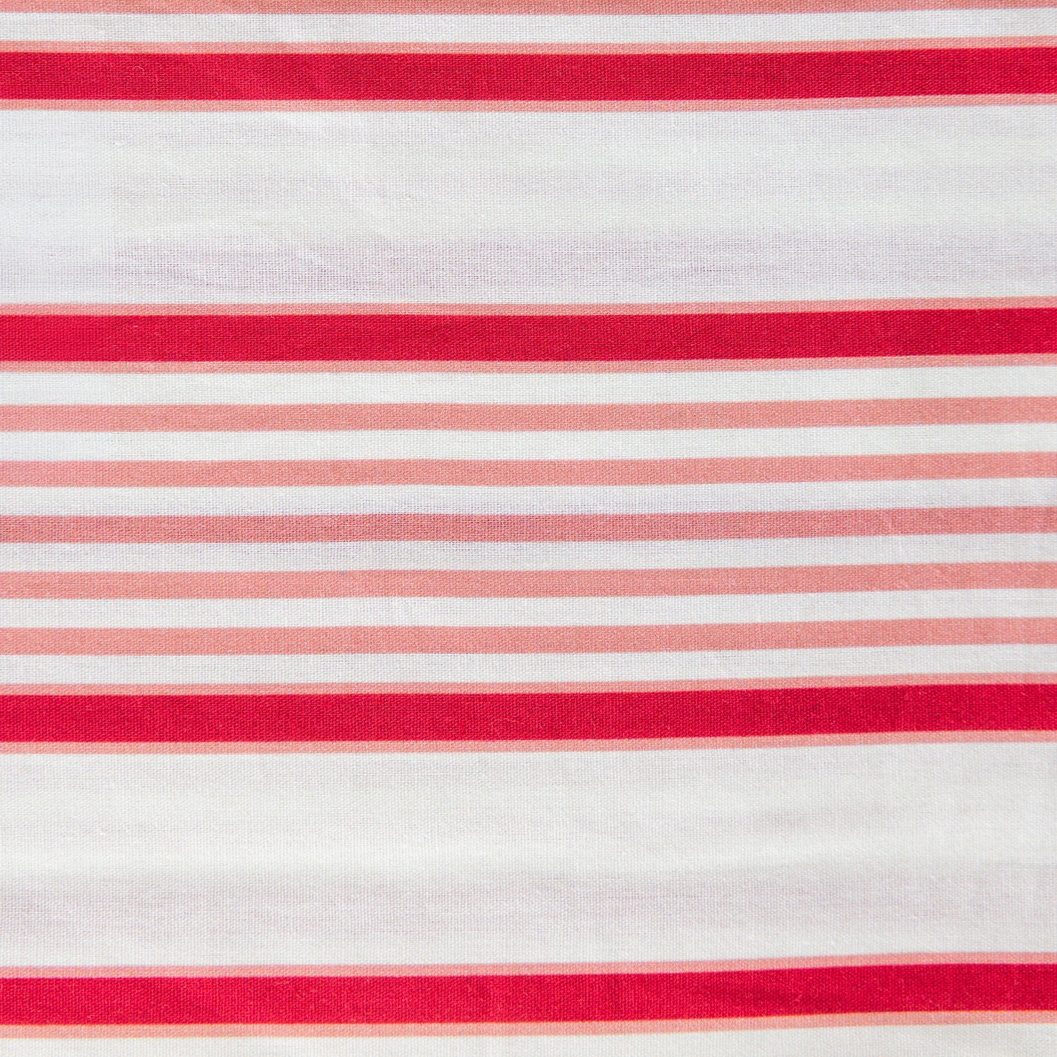 Marlo Anna Cotton Euro Pillowcase Pair