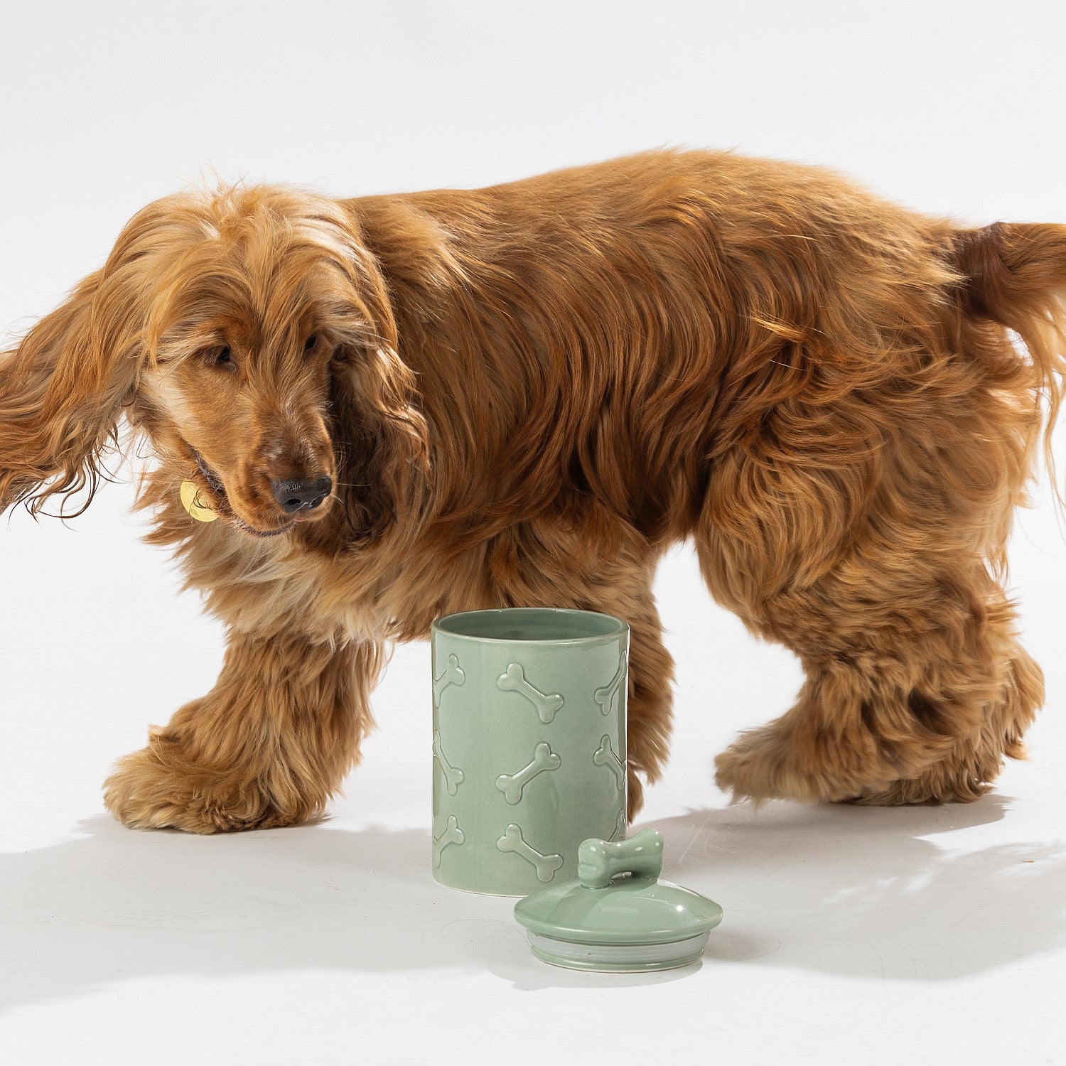 bb&b Pets Dog Bone Treat Jar