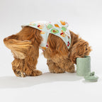 bb&b Pets Breakfast Club Hoodie