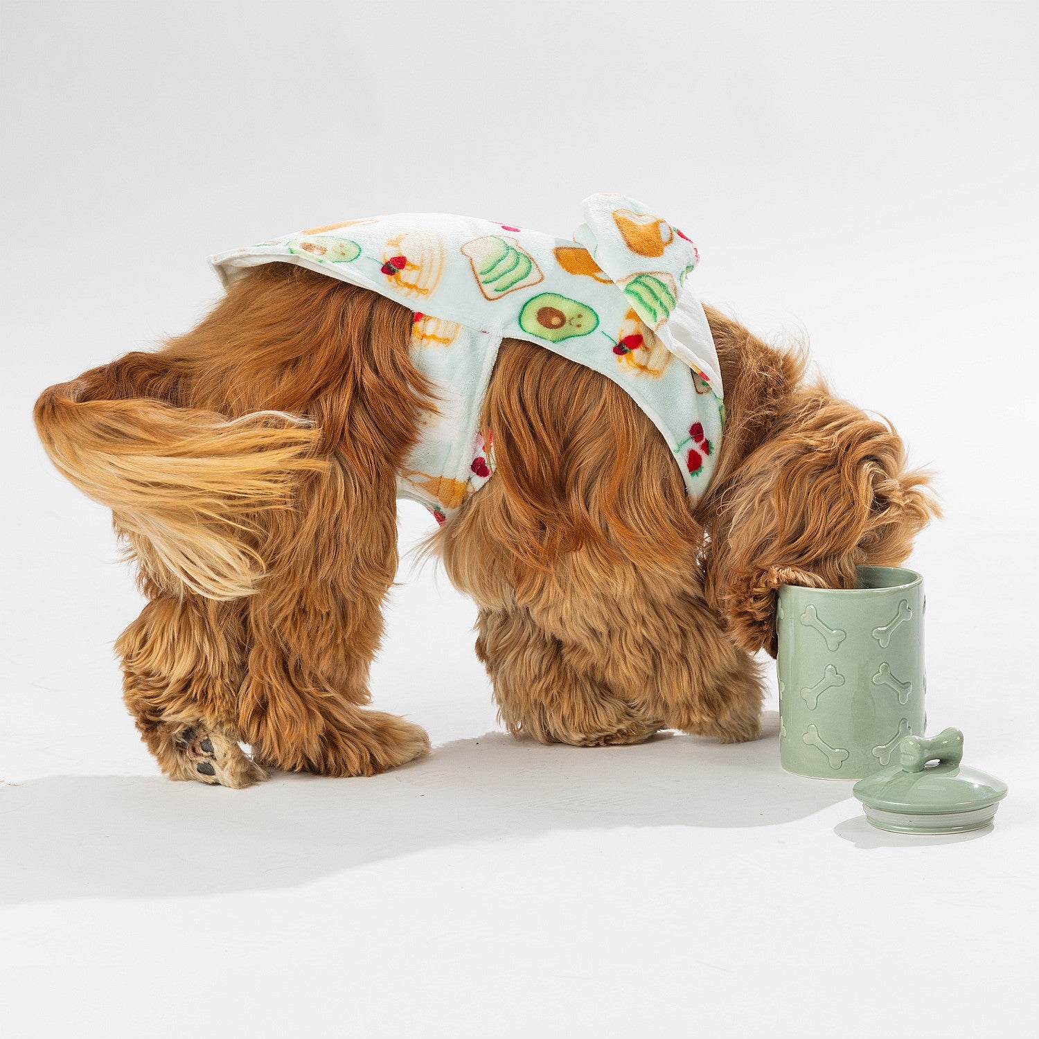 bb&b Pets Breakfast Club Hoodie