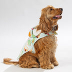 bb&b Pets Breakfast Club Hoodie