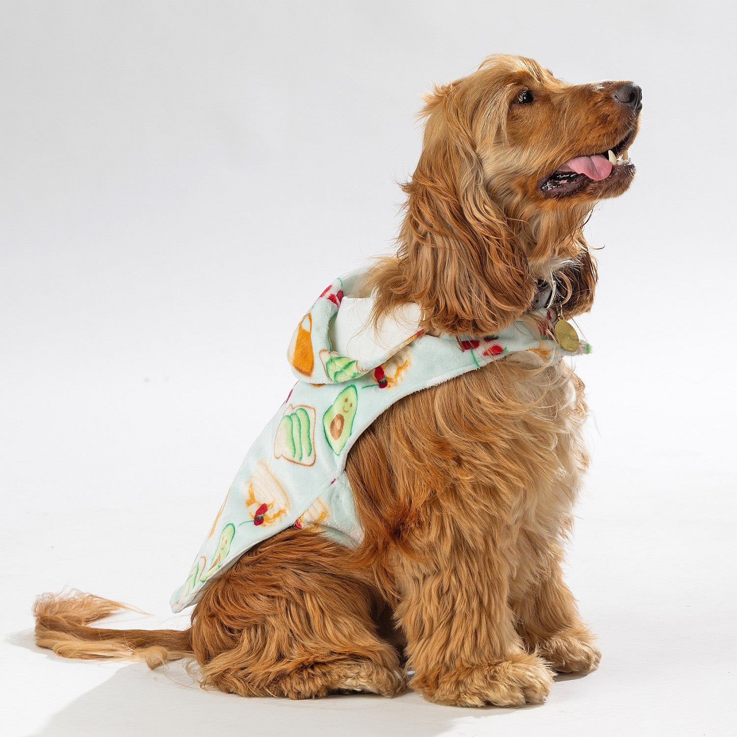 bb&b Pets Breakfast Club Hoodie