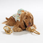 bb&b Pets Breakfast Club Hoodie