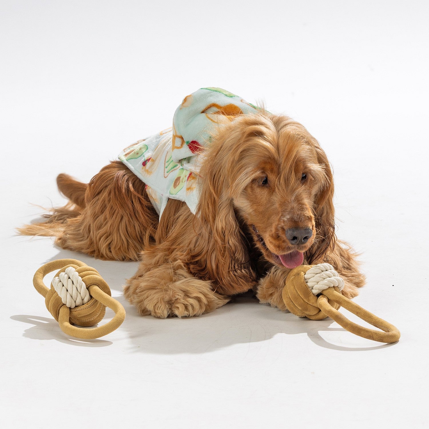 bb&b Pets Breakfast Club Hoodie