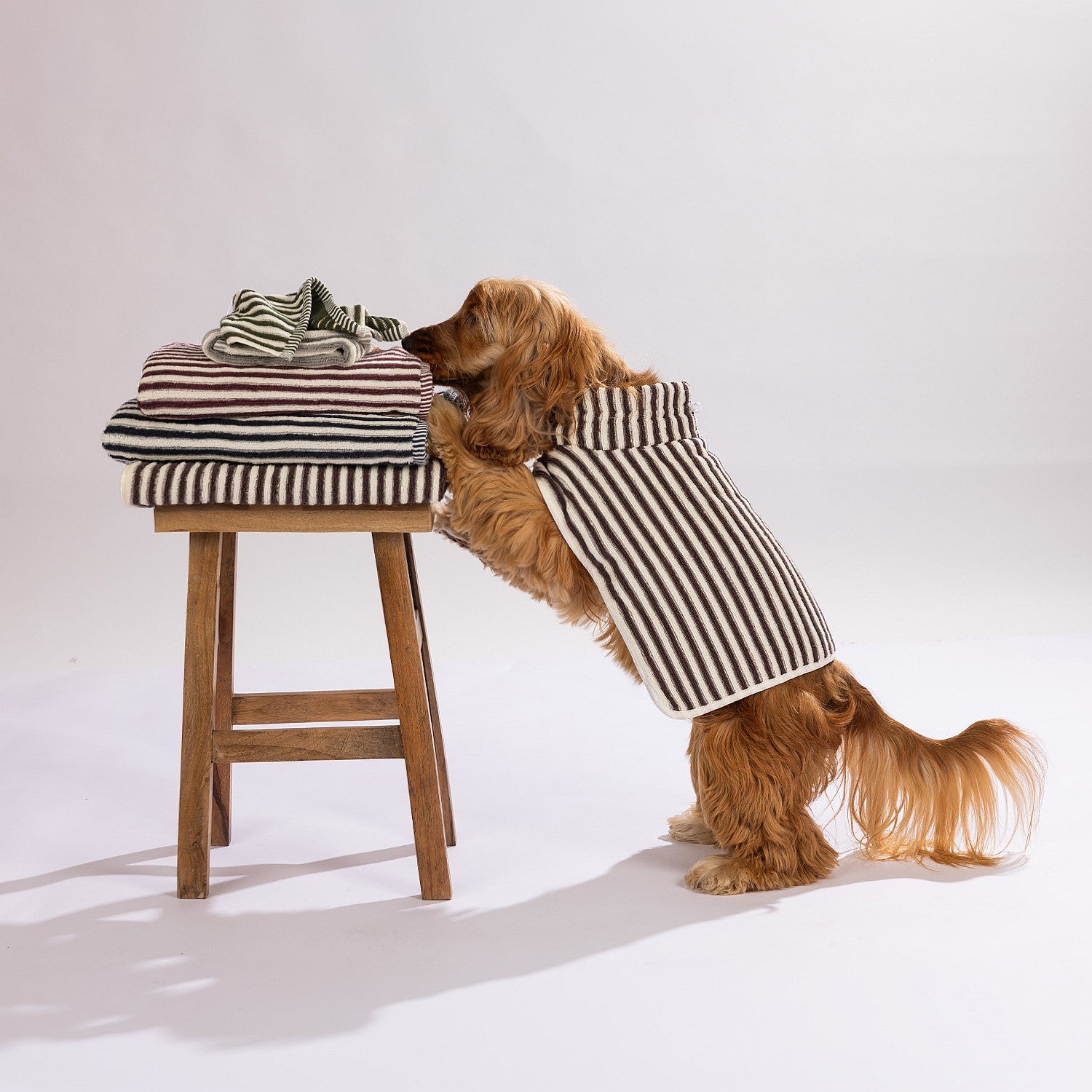 bb&b Pets Remmy Stripe Pet Towel