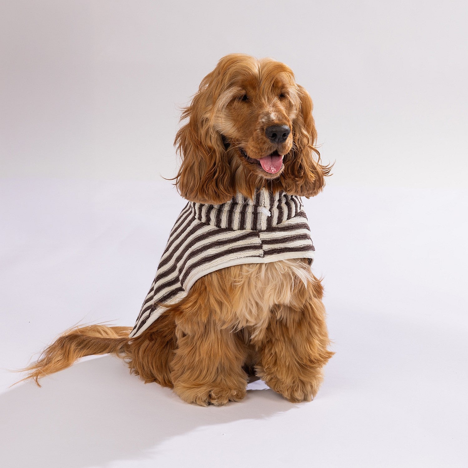 bb&b Pets Remmy Stripe Pet Towel