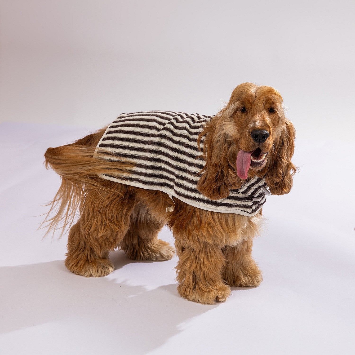 bb&b Pets Remmy Stripe Pet Towel