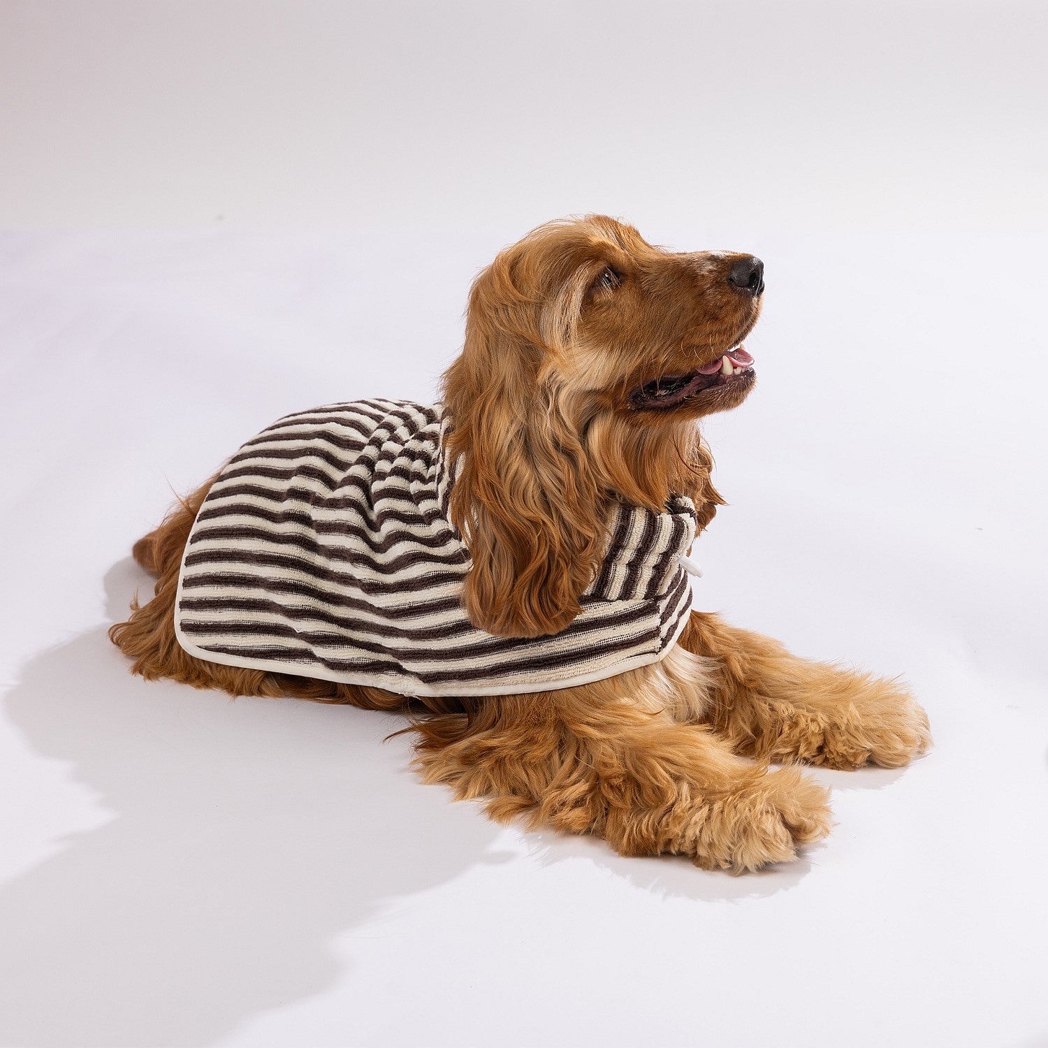 bb&b Pets Remmy Stripe Pet Towel