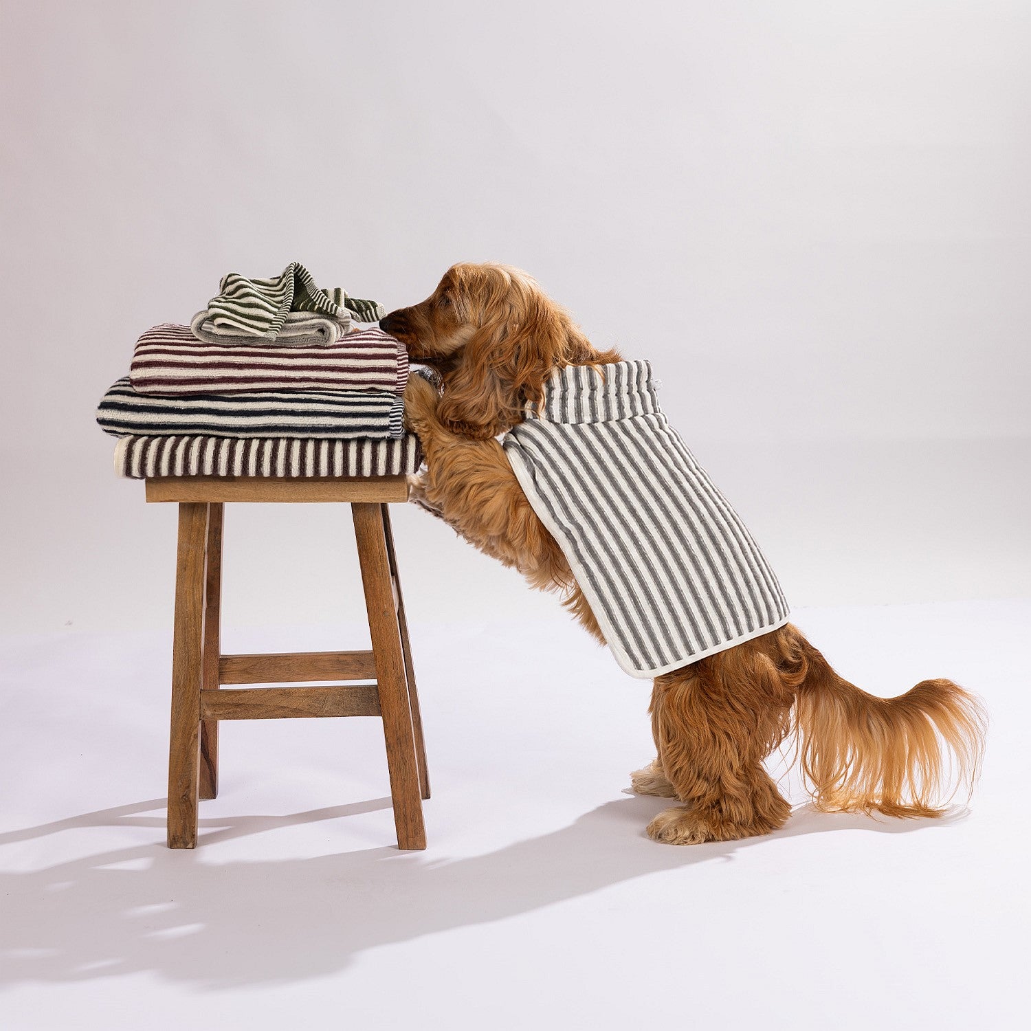 bb&b Pets Remmy Stripe Pet Towel