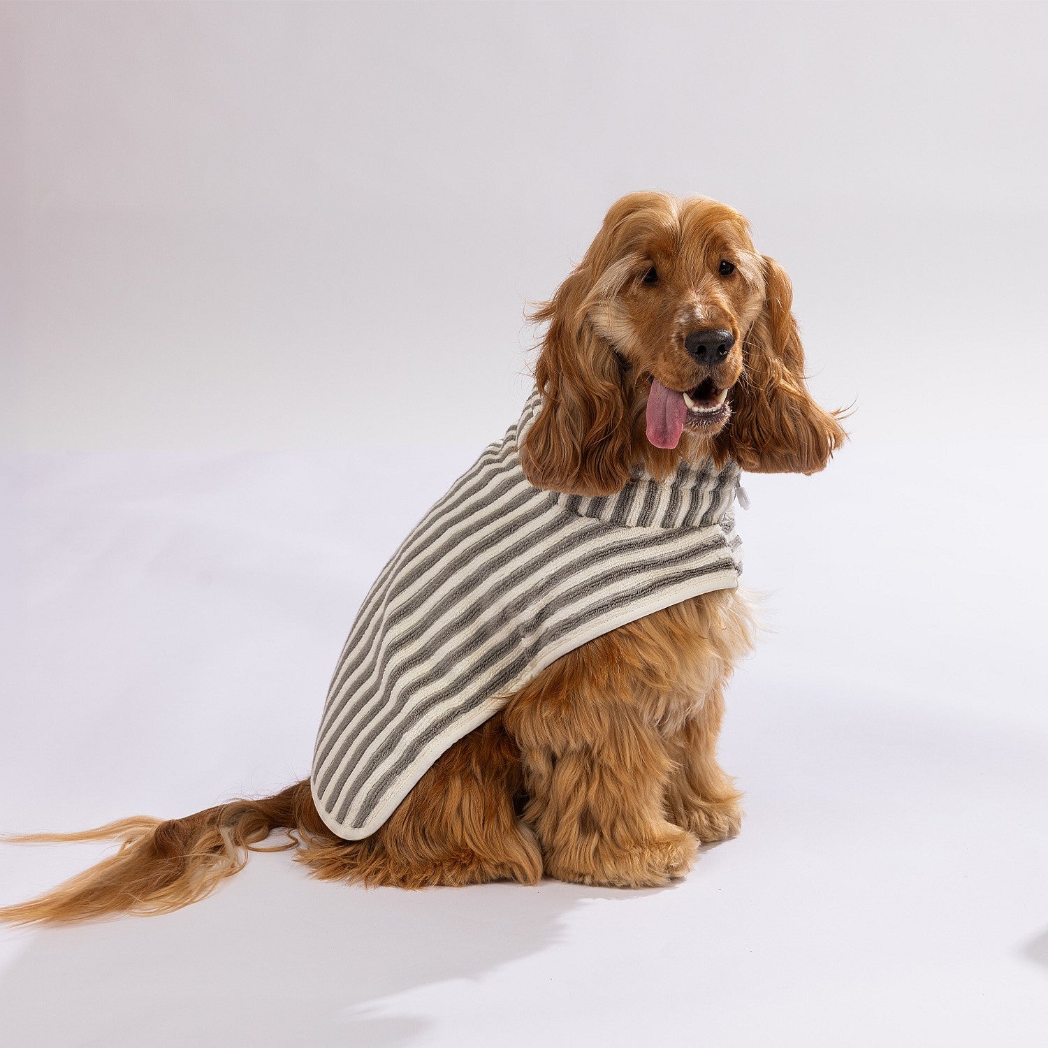 bb&b Pets Remmy Stripe Pet Towel