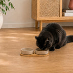 Fluffy black cat eating from a mushroom-coloured ceramic pet bowl set on a bamboo holder in a warm home interior.