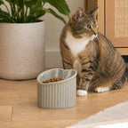 Tabby cat sitting beside a mocha heart-shaped elevated ceramic cat bowl filled with dry food in a warm home interior.