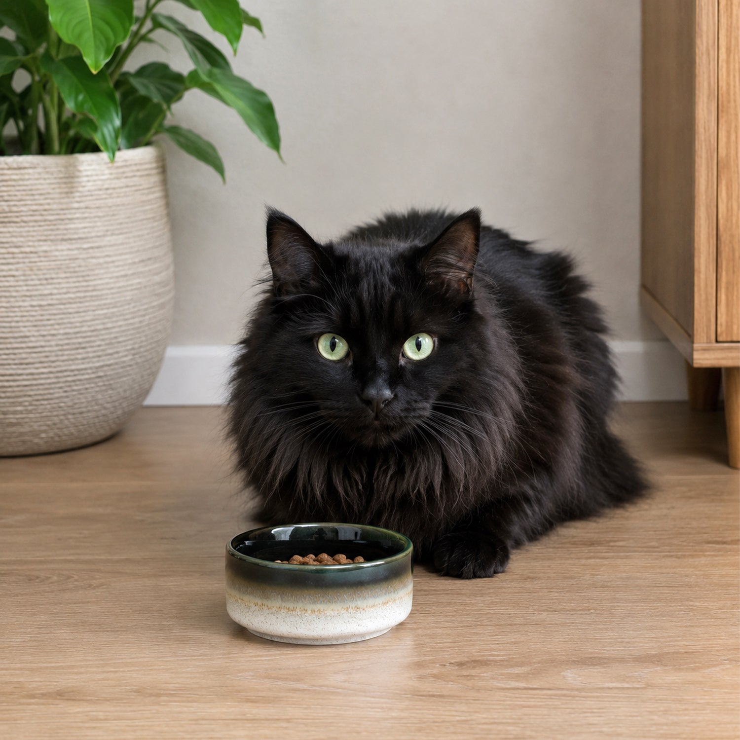bb&b Pet Small Glazed Pet Bowl
