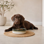 A chocolate Labrador retriever puppy sits on a light wood floor in a bright room, looking directly at a ceramic dog bowl in front of it.