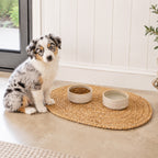 A small Australian shepherd puppy sits beside a round woven natural-fiber mat holding two ceramic bowls, one with dry dog food and one with water, in a bright indoor setting with white paneled walls.