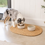 A small Australian Shepherd dog eats from a beige ceramic bowl placed on a round braided jute mat, with a second ceramic water bowl beside it in a bright indoor setting.