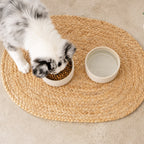 A small white and gray dog eats from a beige ceramic bowl placed on a round woven jute mat, with a second empty beige ceramic bowl beside it on a light concrete floor.