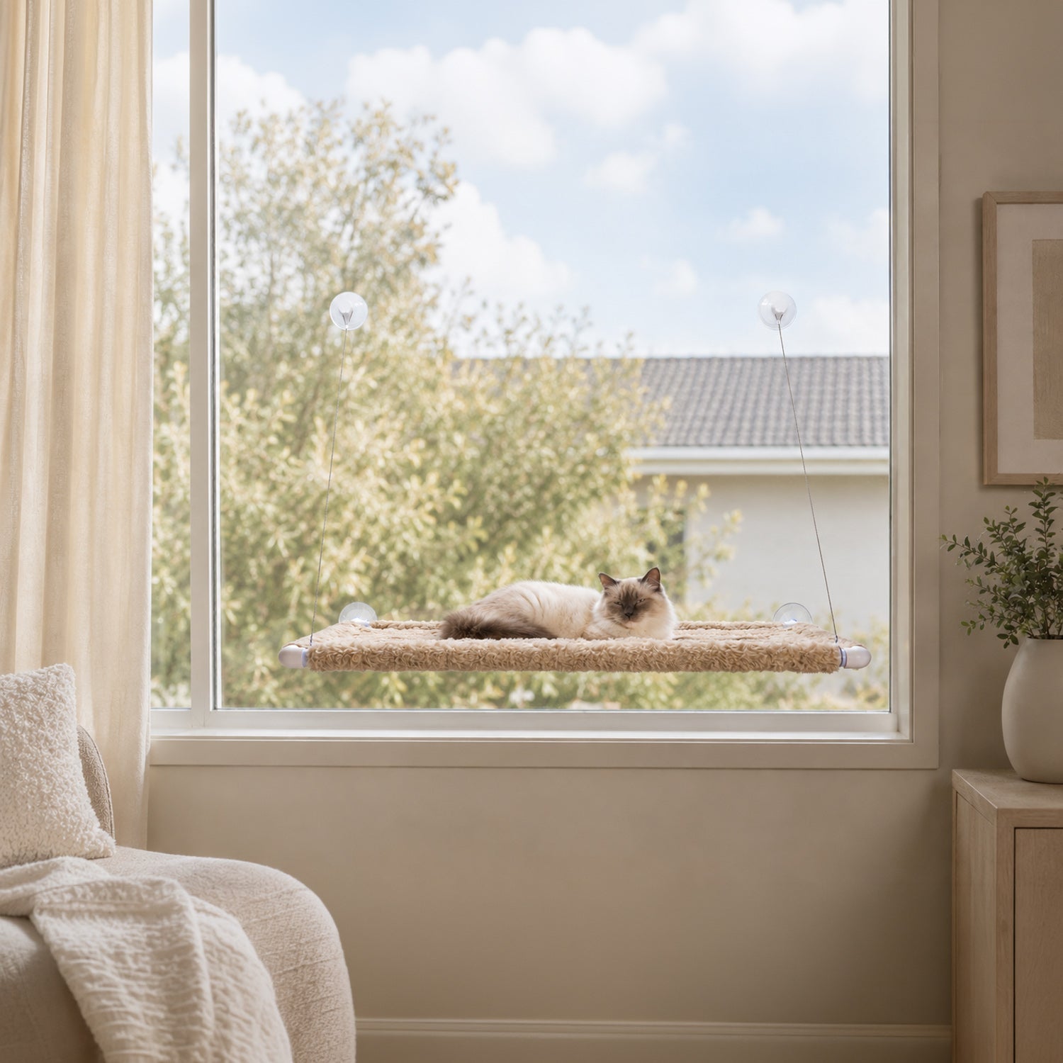 A cat lies on a window-mounted cat bed with suction cups, shown in a bright living room with a large window, curtains, and a side table.