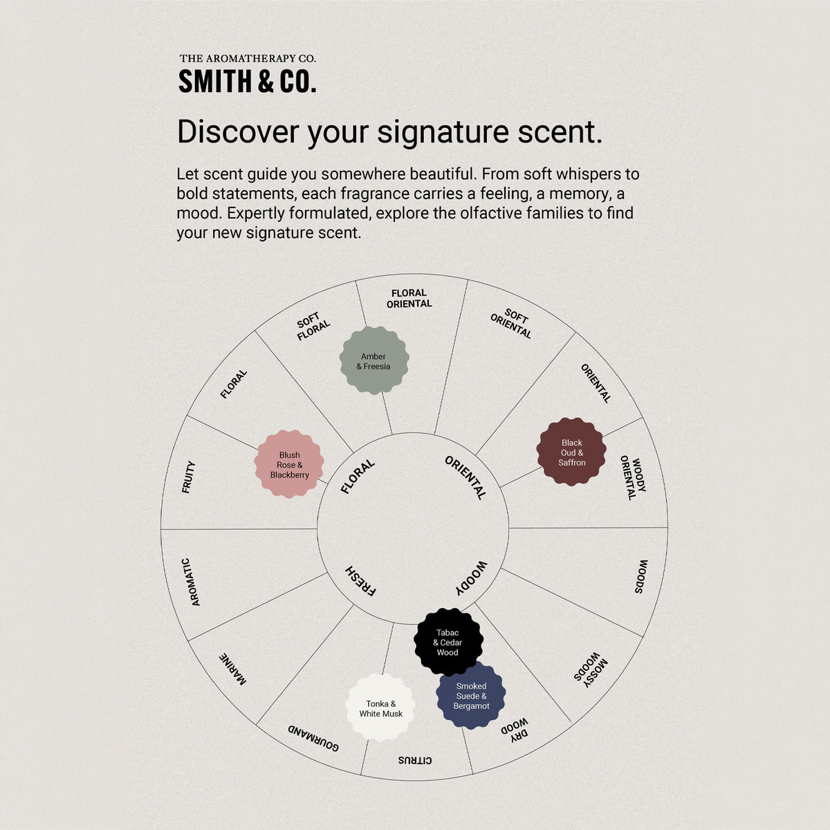 Smith & Co. fragrance family chart displaying the different signature scents and their fragrance categories against a neutral background.