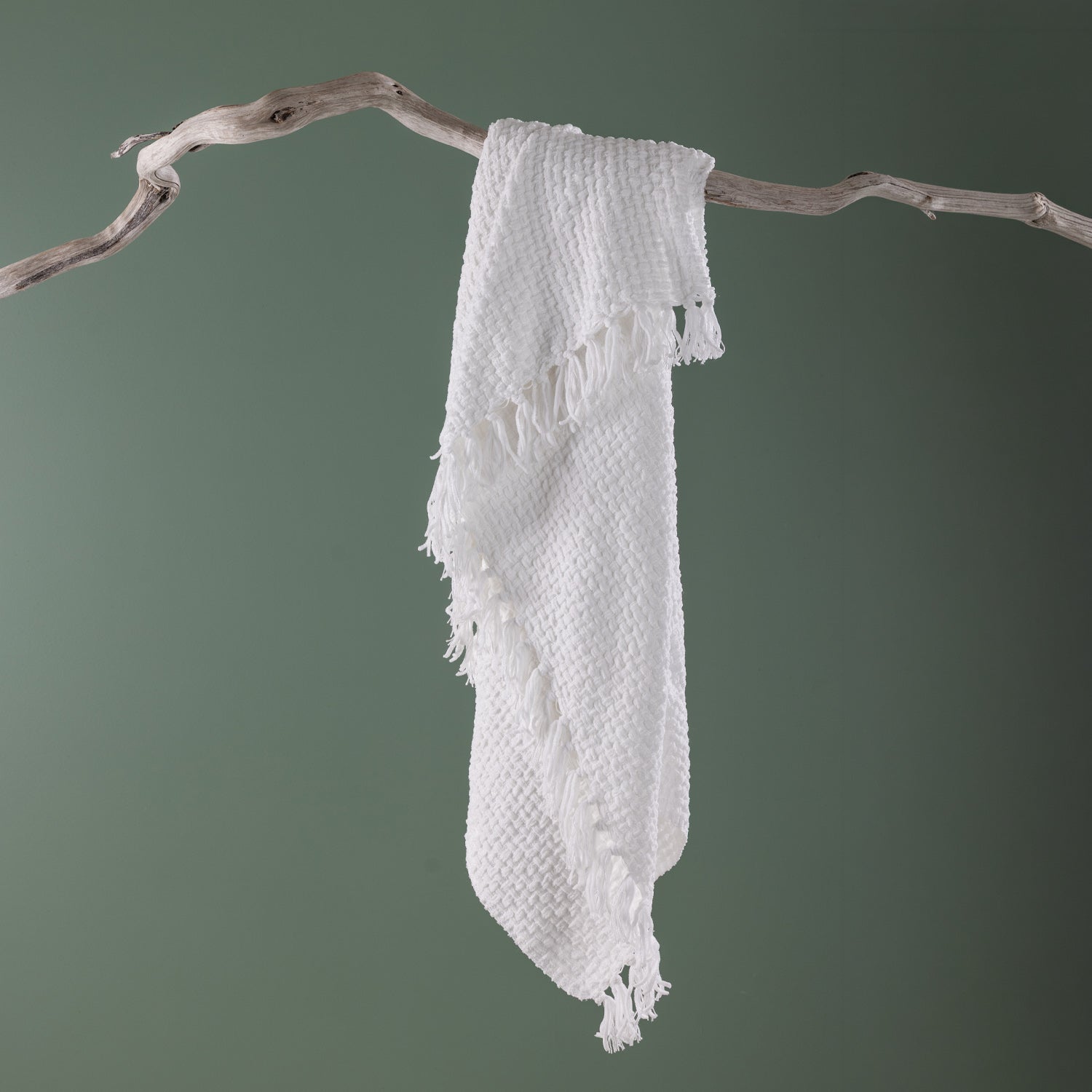Home Co. Tilly Throw in Ivory draped over a natural driftwood branch, featuring a textured woven design with decorative tassel fringe.