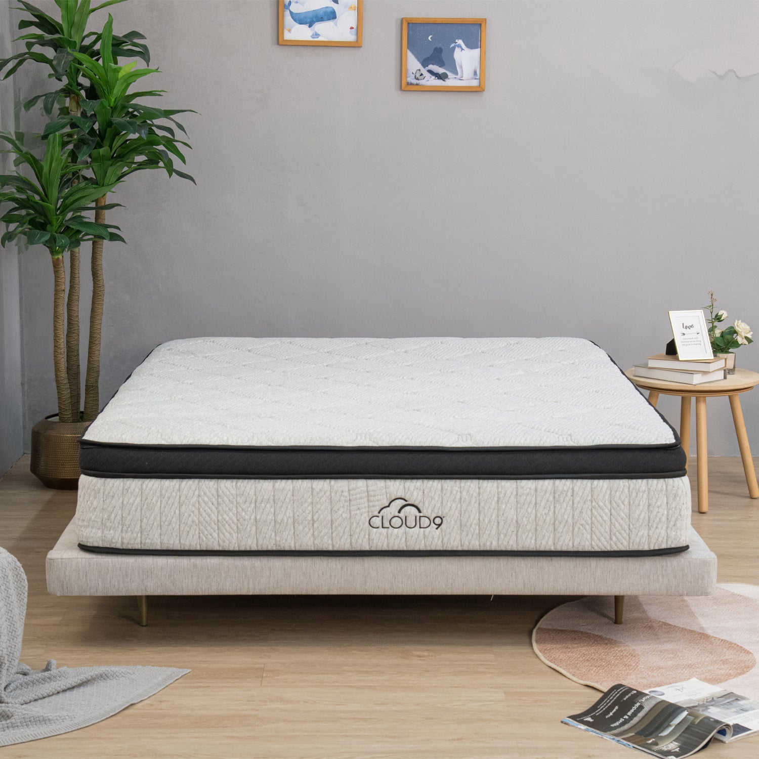 Front view of the Cloud 9 mattress featuring a plush quilted pillow-top design.