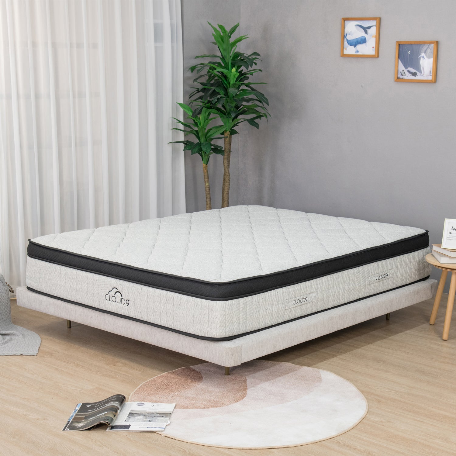 Modern bedroom scene featuring a Cloud 9 mattress with a quilted pillow-top design, styled in a soft neutral interior.