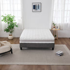 Cloud 9 Dual Side 7-Zone Mattress displayed on a grey bed base in a bright, modern bedroom.