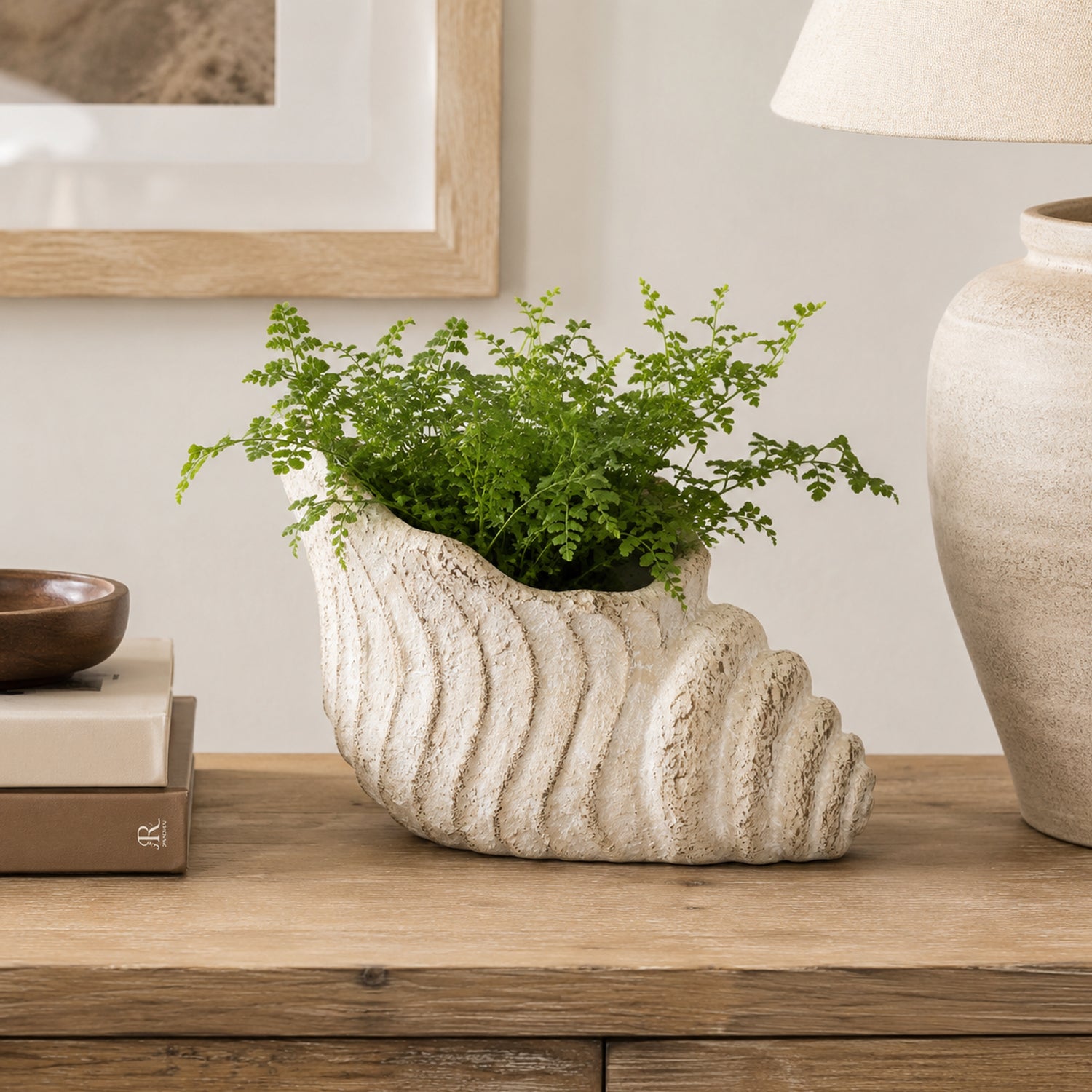 Design Republique Shell Planter Natural styled with a green plant on a wooden sideboard.
