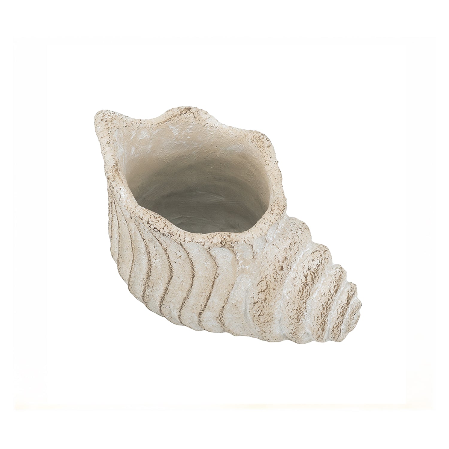Design Republique Shell Planter Natural featuring a cream shell-shaped planter with textured detailing.
