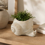 Design Republique Snail Planter Natural styled with a green plant on a wooden sideboard.