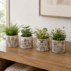 Design Republique Herb Planter 4 Piece Natural set styled with small plants on a wooden sideboard.