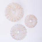 Cove Debora Sunburst Wall Art