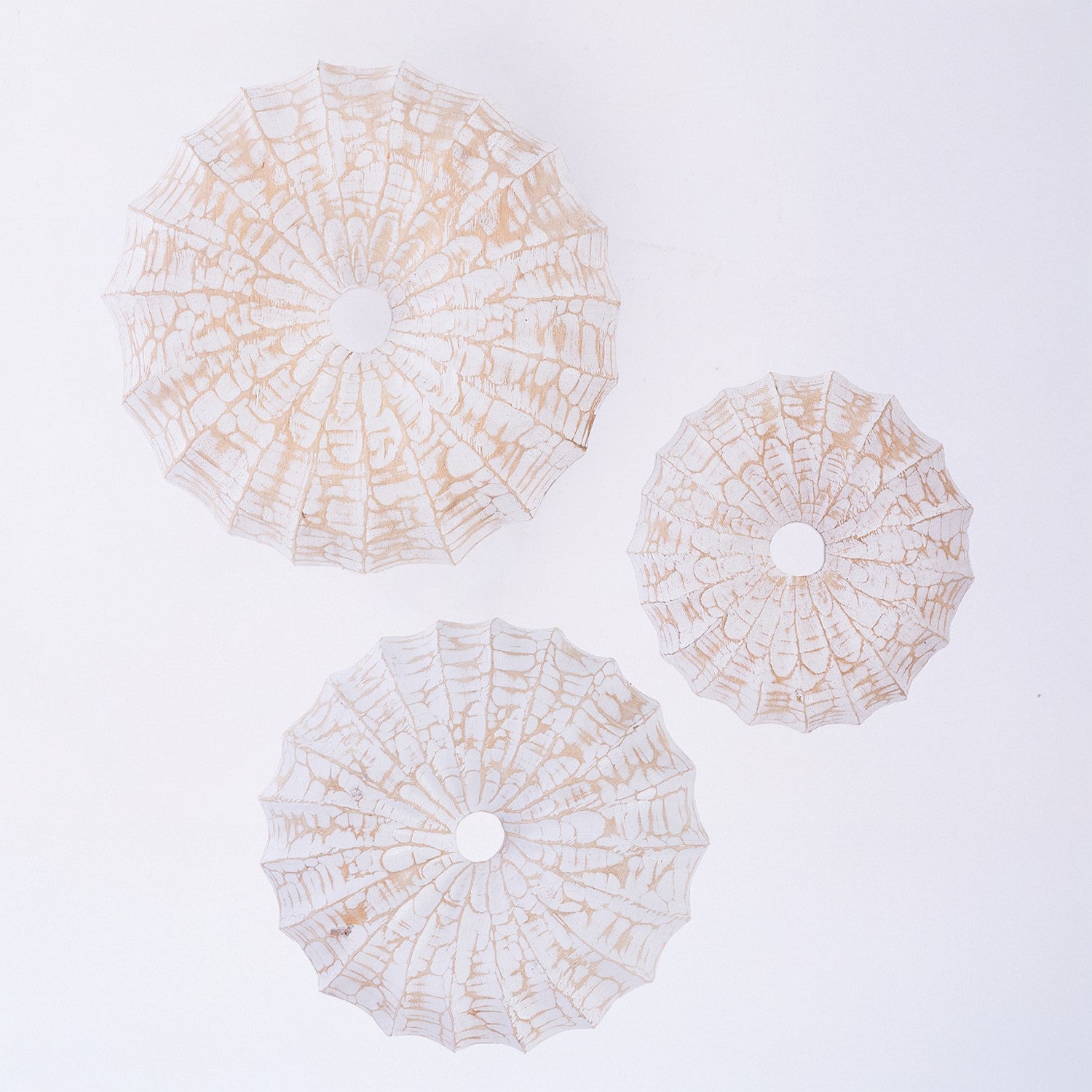 Cove Debora Sunburst Wall Art