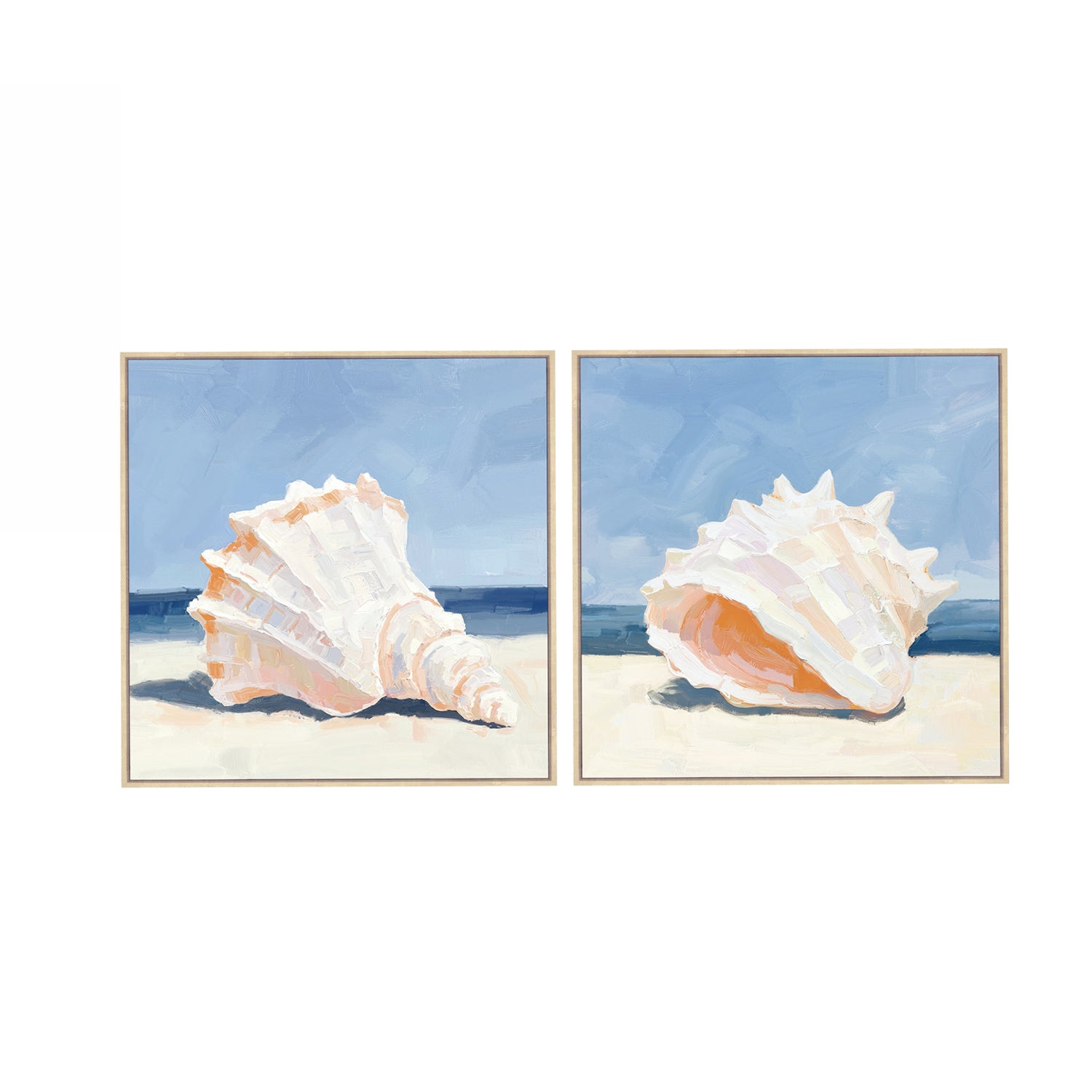 Cove Shell Framed Canvas Set of 2