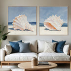 Cove Shell Framed Canvas Set of 2