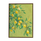 Design Republique Framed Canvas Lemons Wall Art