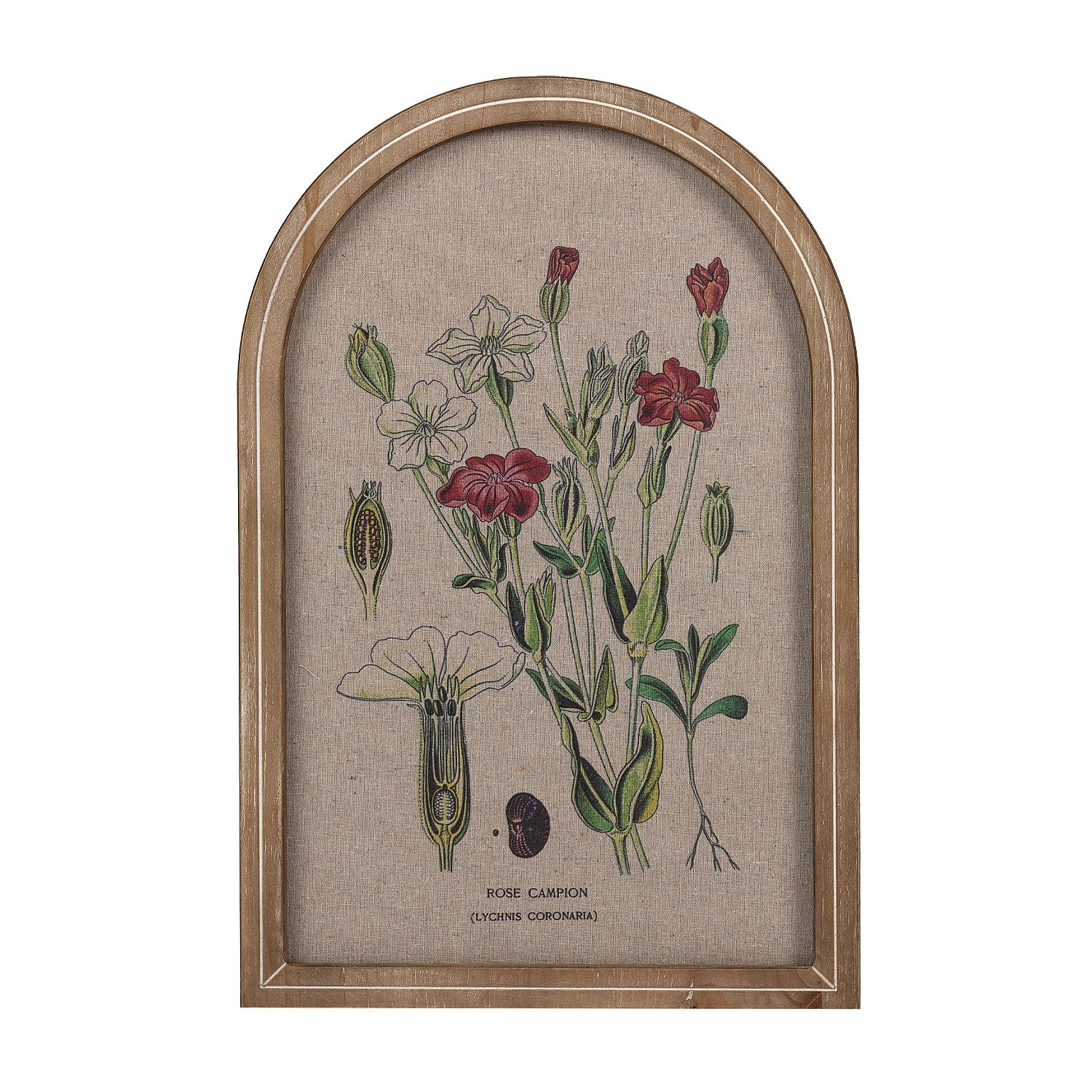 Solace Arched Red Flower Wall Art