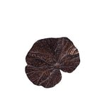 Design Republique Haven Flower Wall Plaque in Antique, featuring a sculpted floral form with raised vein detailing, a dark bronze finish and warm copper-toned highlights.
